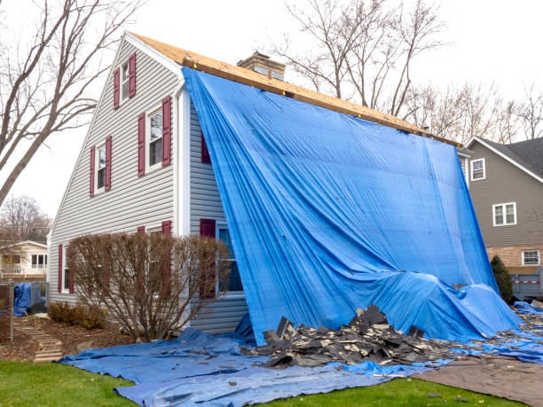Best Insulated Siding Installation  in Safford, AZ